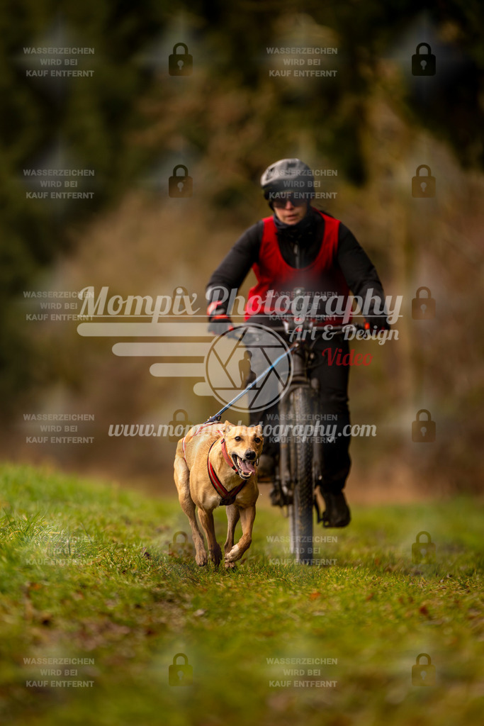 MompixPhotography_2SSTSSBW_2025_SO_Bike-91 | PayLife
