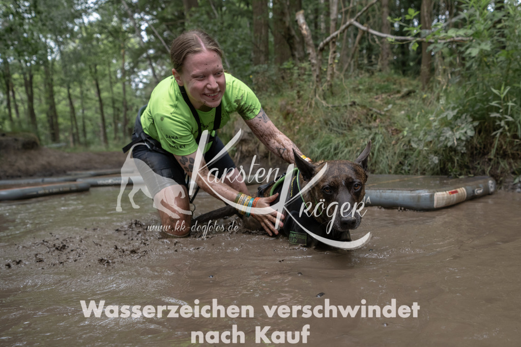 1340_ZZ95313 | kk-dogfotos