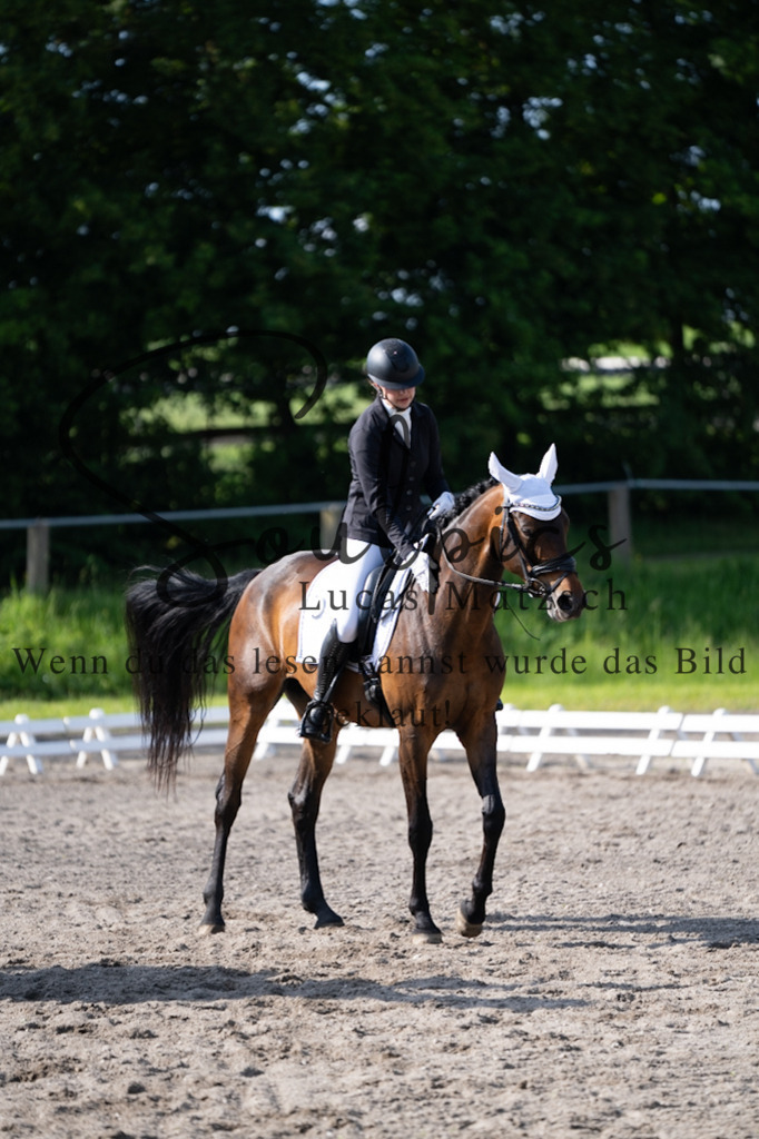 A7V02386 | Pferdefotograf