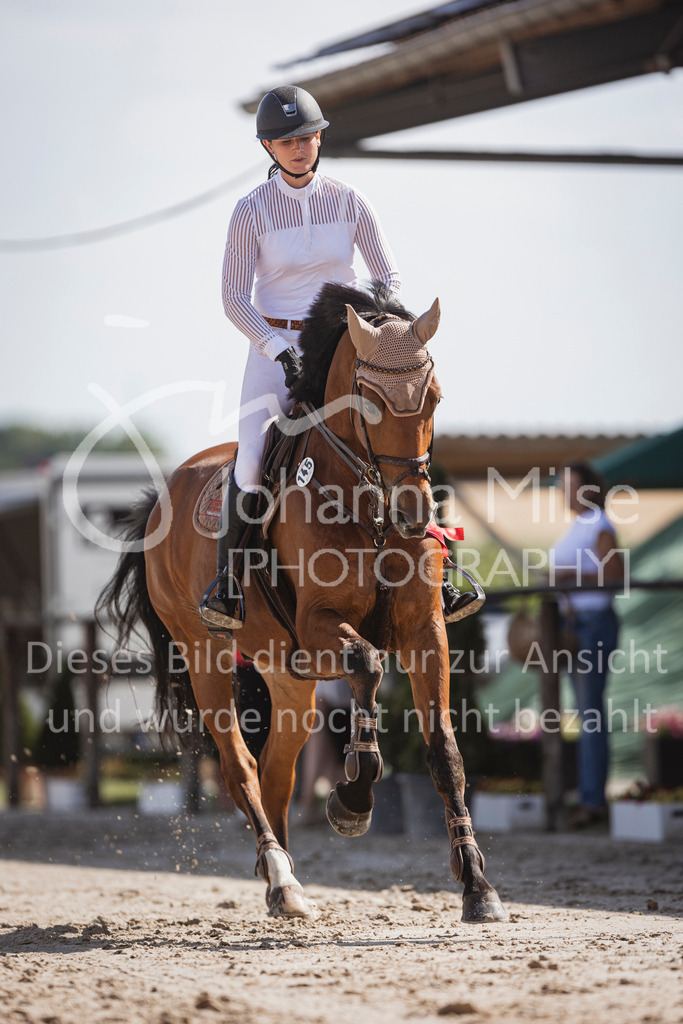 240628_LüPfSpTa_S1-Spr-134 | Deine schönsten Turniermomente als professionelle Fotos! Entdecke hochwertige Pferdesport-Fotografie im Online-Shop. Jetzt Fotos finden & bestellen!