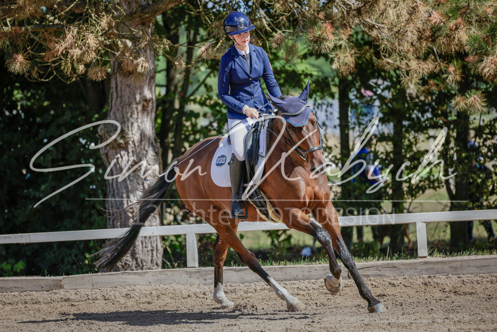 20250906-_3LI4487 | Tierfotografie Pferde, Hunde, Katzen, Haustiere.
Turnierfotografie Reitturniere, Reiten, Springreiten, Dressur in Hanau, dem Main-Kinzig-Kreis und dem Rhein-Main- Gebiet um Frankfurt