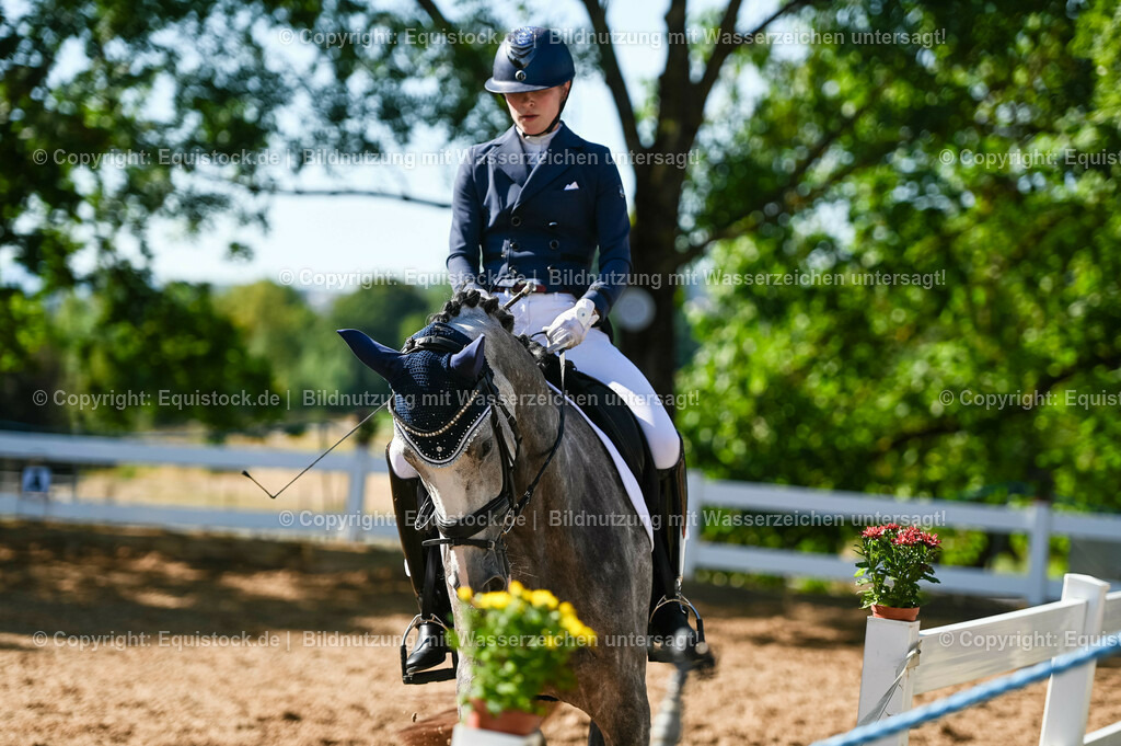 20230715_06_Dressurpferdeprfg. Kl.A_0307 | equistock