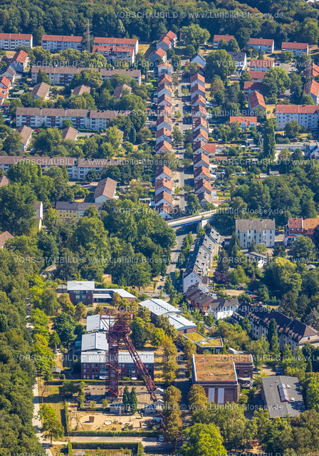 Essen220806873 | Luftbild, Wohnsiedlung Kraspothstraße, rote Dächer, im Vordergrund Förderturm Zeche Zollverein Schacht 3/7/10, Essen-Katernberg, Essen, Ruhrgebiet, Nordrhein-Westfalen, Deutschland