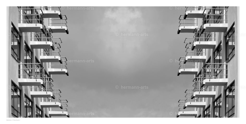 Hermann-Arts_Spiegelbilder_048 | Photo Foto Kunst Art schwarzweiss Bilder Rheine Münster Berlin Blumen 