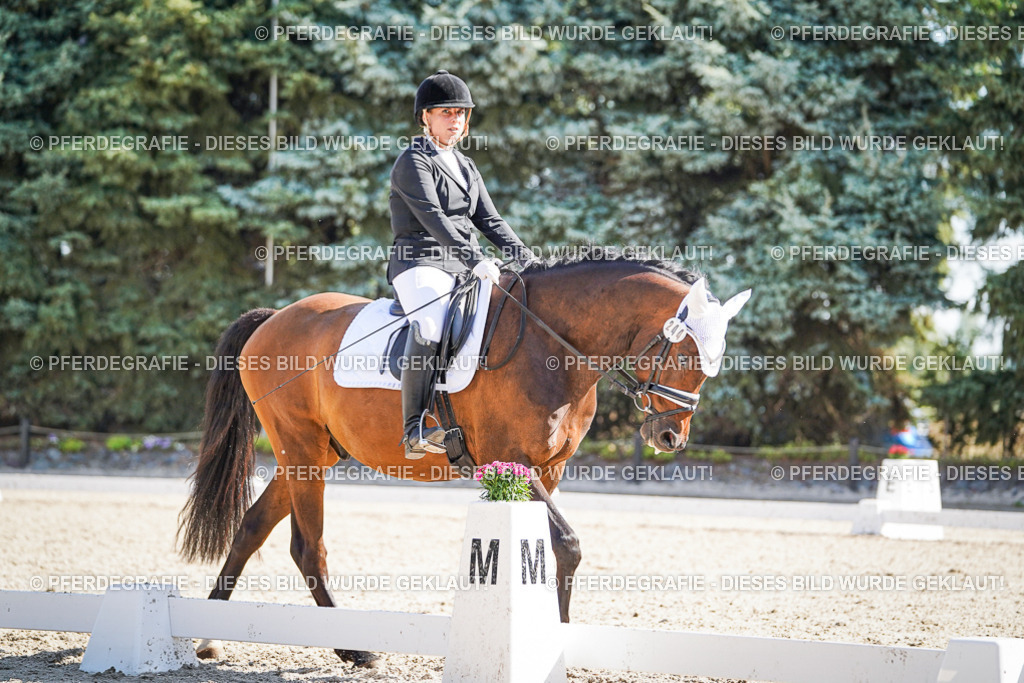 DSC00342 | Pferdegrafie