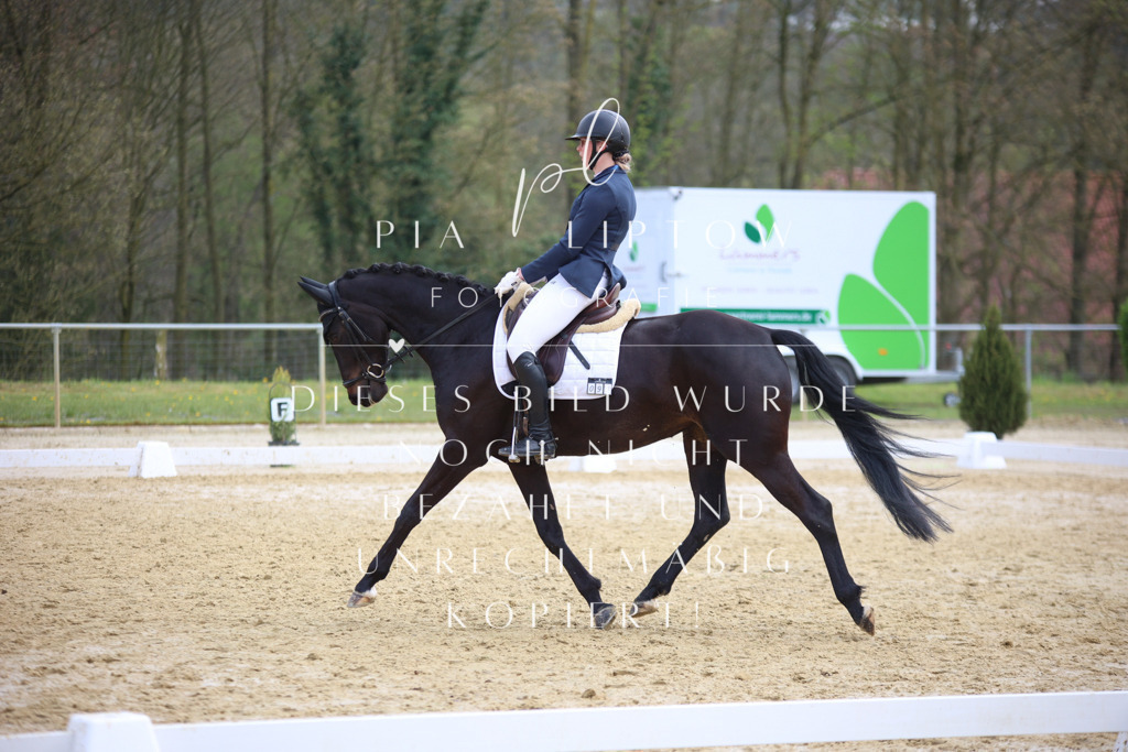 IMGT6270 | pl-fotografie