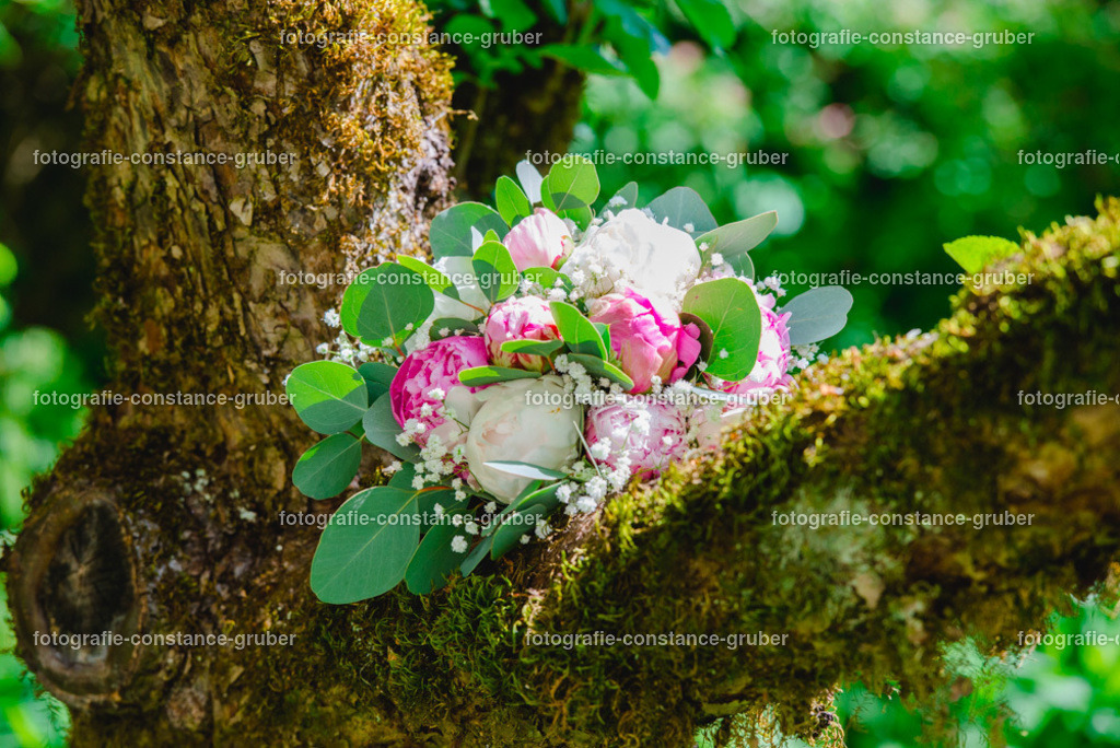 1008 | Fotografie Constance Gruber - Realisiert mit Pictrs.com