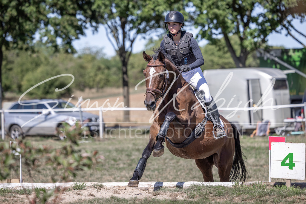 20260906-_3LI3632 | Tierfotografie Pferde, Hunde, Katzen, Haustiere.
Turnierfotografie Reitturniere, Reiten, Springreiten, Dressur in Hanau, dem Main-Kinzig-Kreis und dem Rhein-Main- Gebiet um Frankfurt