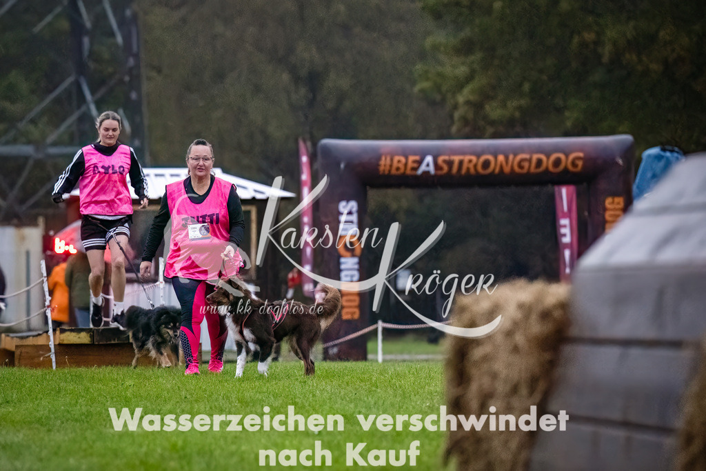 0806-_ZZ90220-Bearbeitet-Bearbeitet | kk-dogfotos