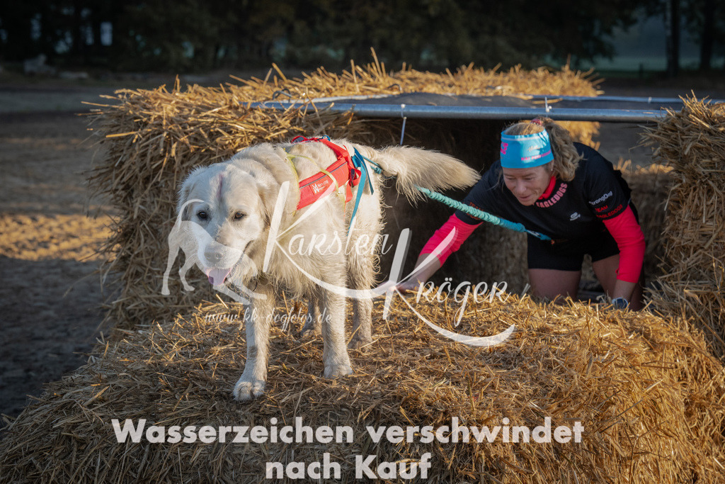0905_ZZ91161 | kk-dogfotos