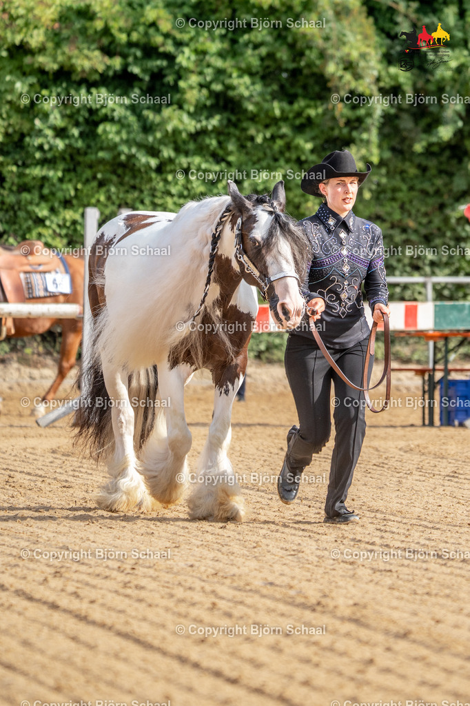 LMS06582 | BS-foto