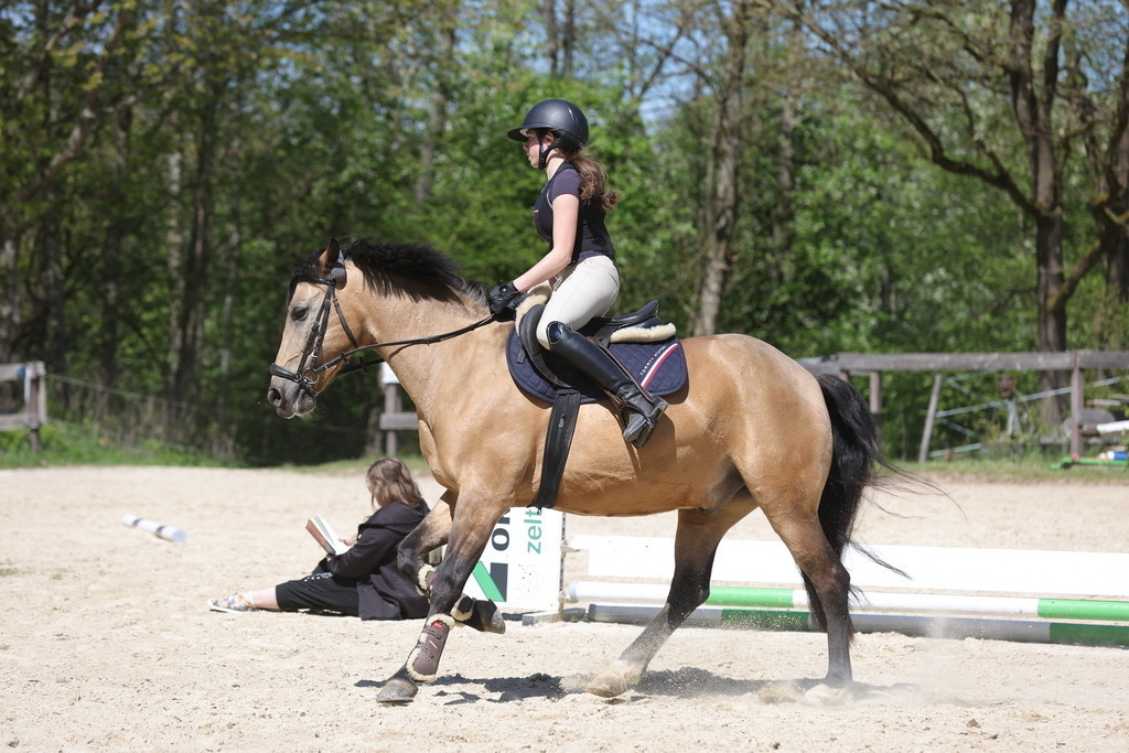 0P6A8807 | Willkommen bei Brunnmayr - Design & Fotografie – Ihrem Spezialisten für Reitturniere und Pferdeveranstaltungen in Oberösterreich, Salzburg und Bayern! Seit über 17 Jahren sind wir leidenschaftlich dabei.