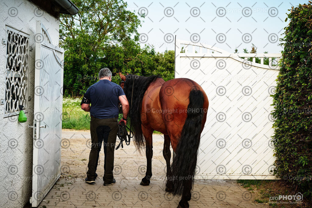 034_202406_Niki-Herodes_NZ9_9712 | proPHOTO - Realisiert mit Pictrs.com