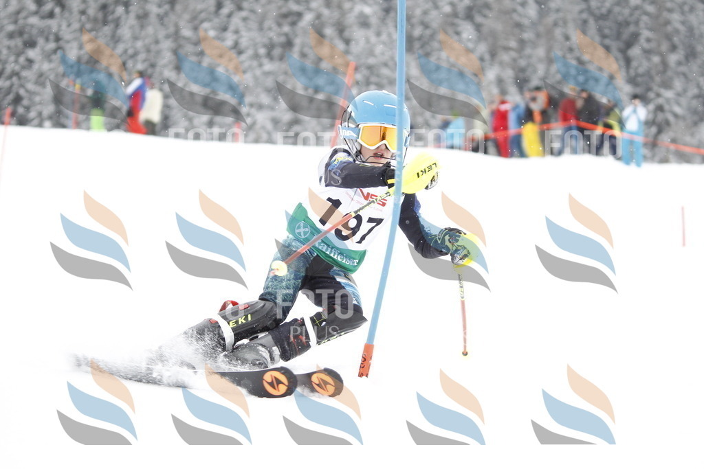 A2032 | holidayphoto