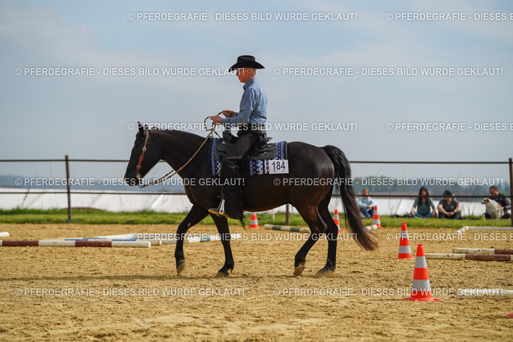 DSC02071 | Pferdegrafie