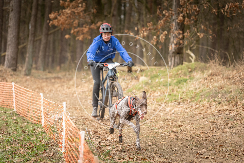 Pfotenfotografie_DV3A3315 | Hundefotografie, Tierfotograf, Pfotenfotografie, Fotoshooting Hund, Hunde Portrait, Hundesport, Hundeportraits, Heideshooting, Hunde, Sportfotograf, Hundefotograf, Turnierhundsport, THS,  - Realisiert mit Pictrs.com