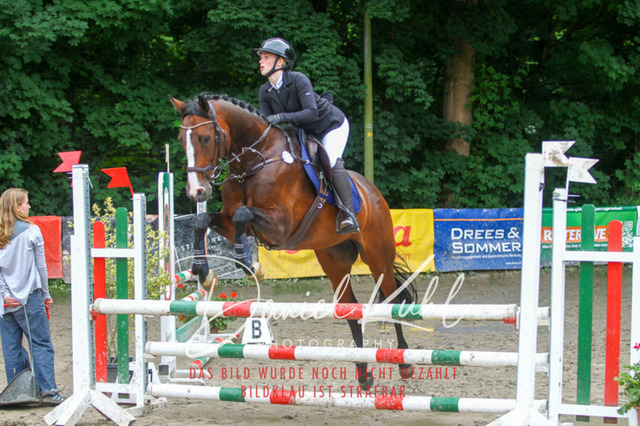 DKP45027 | Turniersportfotografie; Pferdefotografie; Dressurfotografie