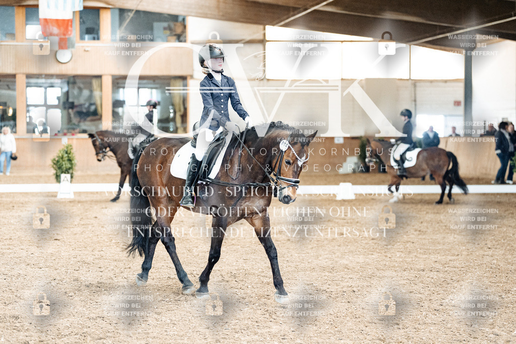 CK900601 | Turnierfotografie Pferdefotografie Trier Rheinland-Pfalz Pferdesport Reitsport Tierfotografie Sportfotografie Pferdevideo Pferdevideografie Equestrianvideography equestrianphotography  - Realisiert mit Pictrs.com