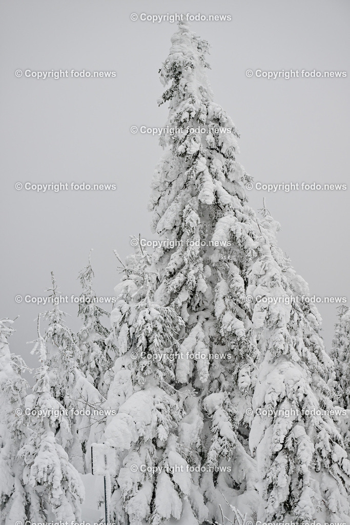 Hochficht_ Skigebiet_ Boehmerwald_ 04.02.2023-28 | 04.02.2023, Hochficht, AUT, Skigebiet Hochficht, Boehmerwald, im Bild Hochficht Bergstation, verschneite Baeume, Schnee