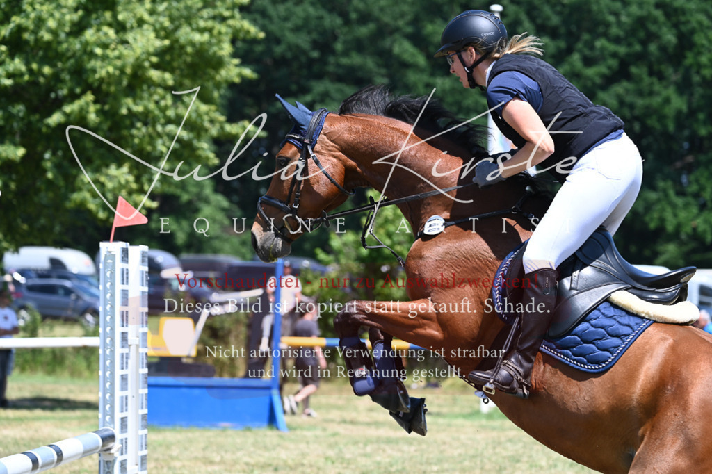 DSC_0624 | Pferde- und Turnierfotografie in Westsachsen. Pferdeportraits, Auftragszeichnungen und intuitive Kunst.