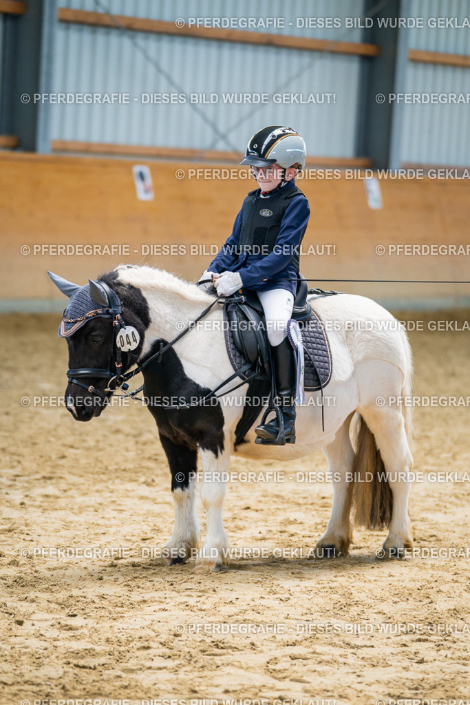 DSC01474 | Pferdegrafie