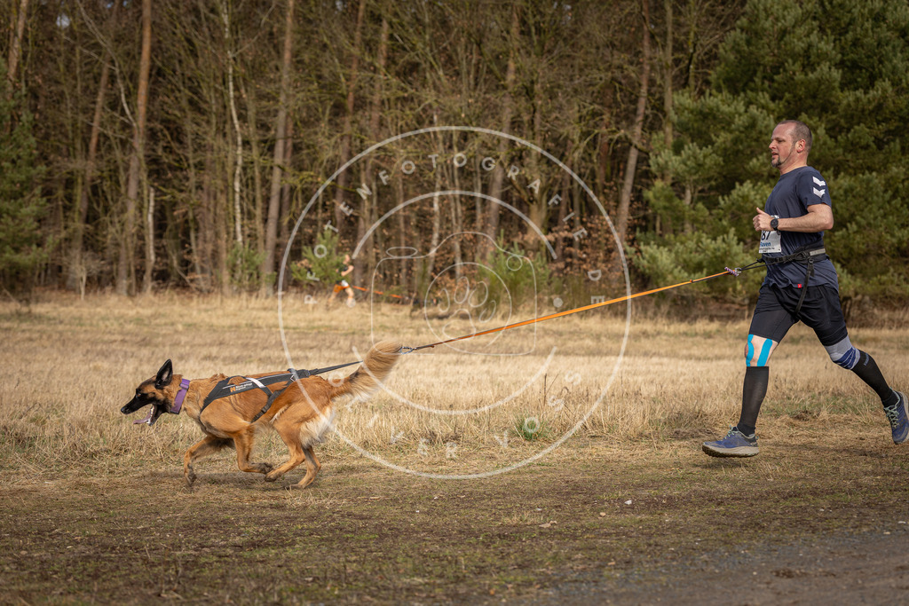 DV3A3974 | Hundefotografie, Tierfotograf, Pfotenfotografie, Fotoshooting Hund, Hunde Portrait, Hundesport, Hundeportraits, Heideshooting, Hunde, Sportfotograf, Hundefotograf, Turnierhundsport, THS,  - Realisiert mit Pictrs.com