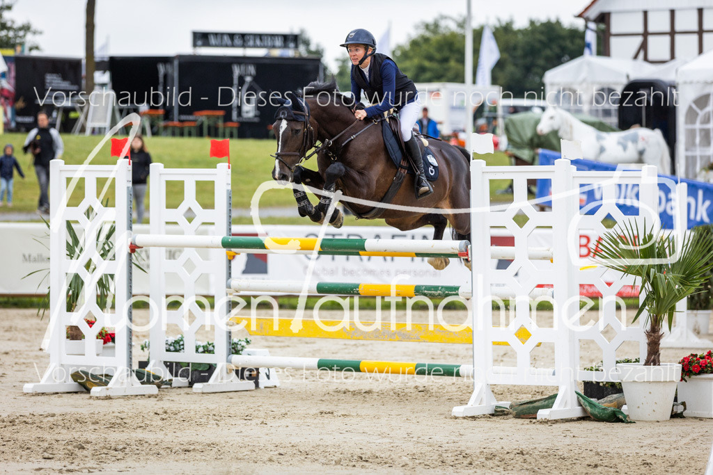 BHO-2PhSpr-M-282 | MomenTaufnahmen Pferdesportfotos