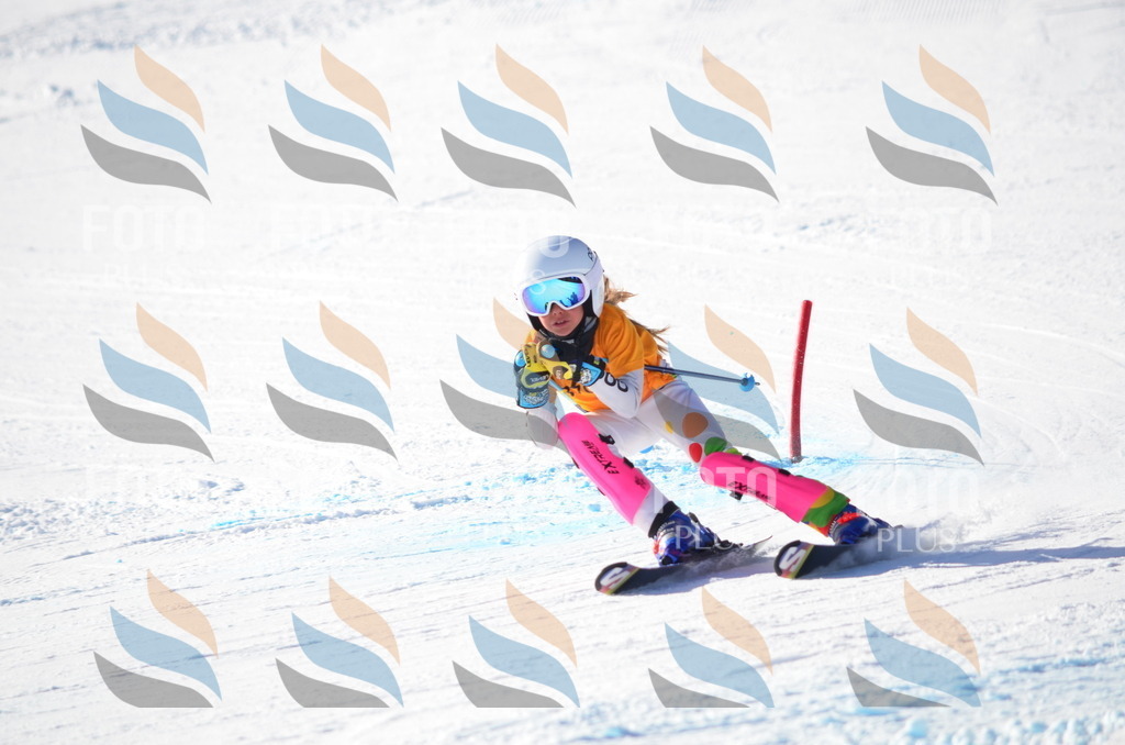 C6096 | holidayphoto