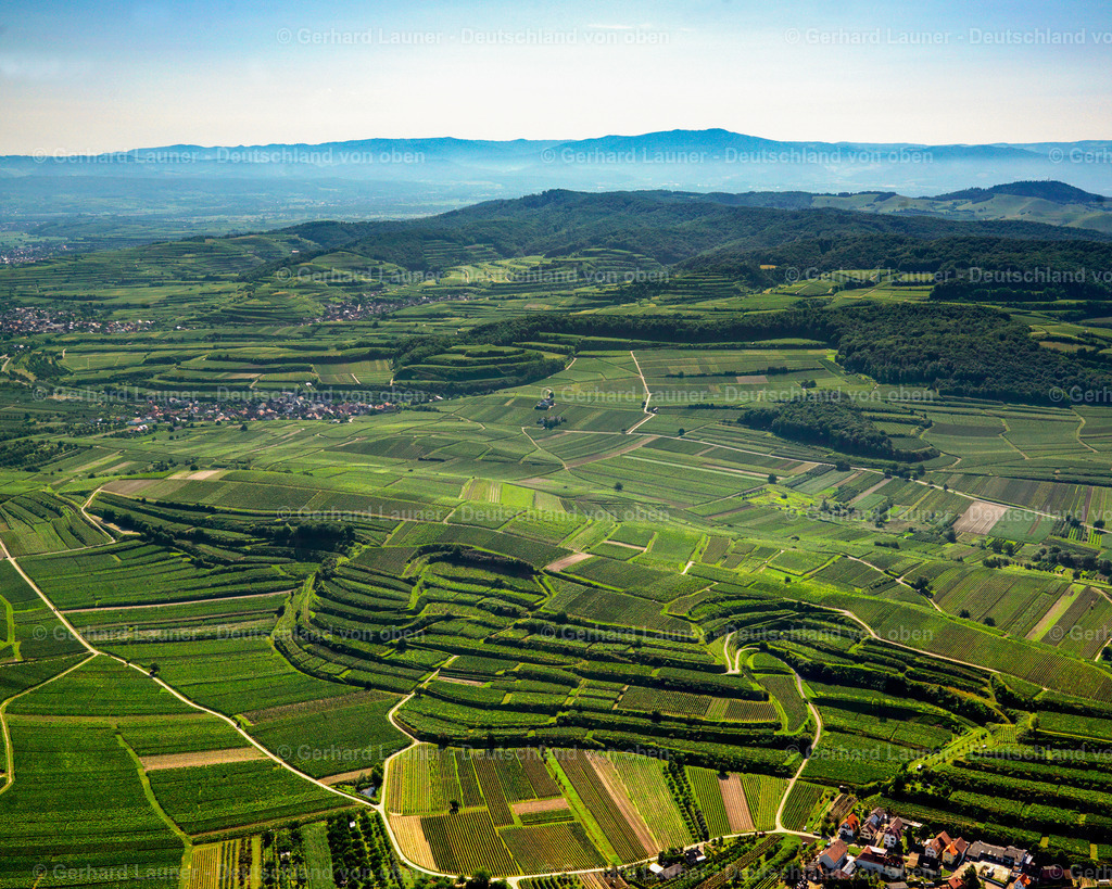 2700044 | Terrassenweinberge am Kaiserstuhl bei Vogtsburg
