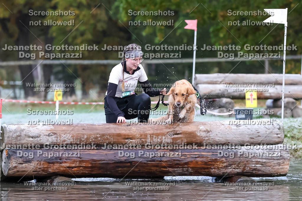 Dog Paparazzi - Strongdog 10-25-6114 | Dog Paparazzi Jeanette Grottendiek Fotografie & Videografie - Realisiert mit Pictrs.com