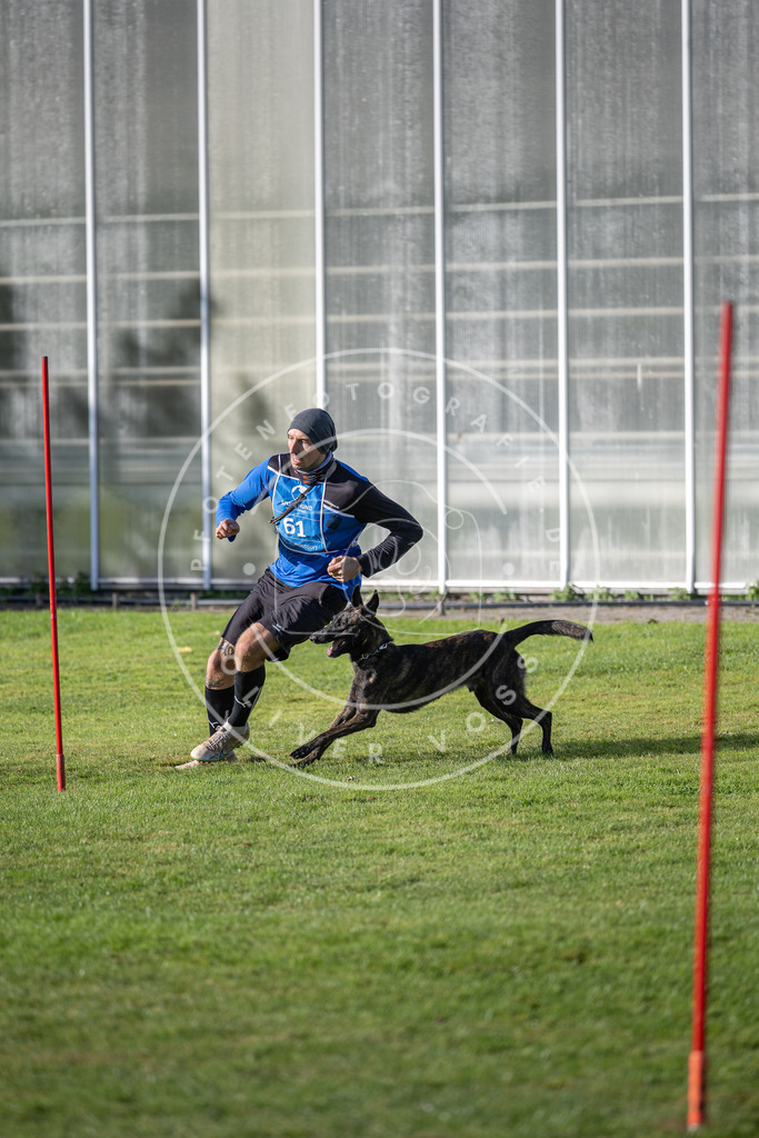 Pfotenfotografie.de_DV3A3367 | Hundefotografie, Tierfotograf, Pfotenfotografie, Fotoshooting Hund, Hunde Portrait, Hundesport, Hundeportraits, Heideshooting, Hunde, Sportfotograf, Hundefotograf, Turnierhundsport, THS, canicross - Realisiert mit Pictrs.com