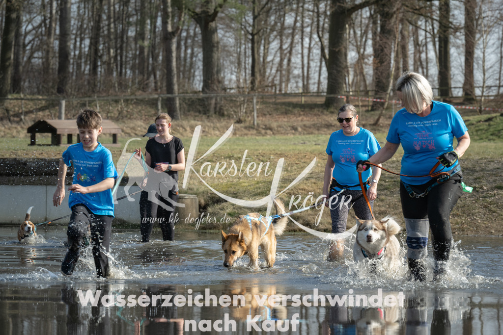 1341_ZZ97726 | kk-dogfotos