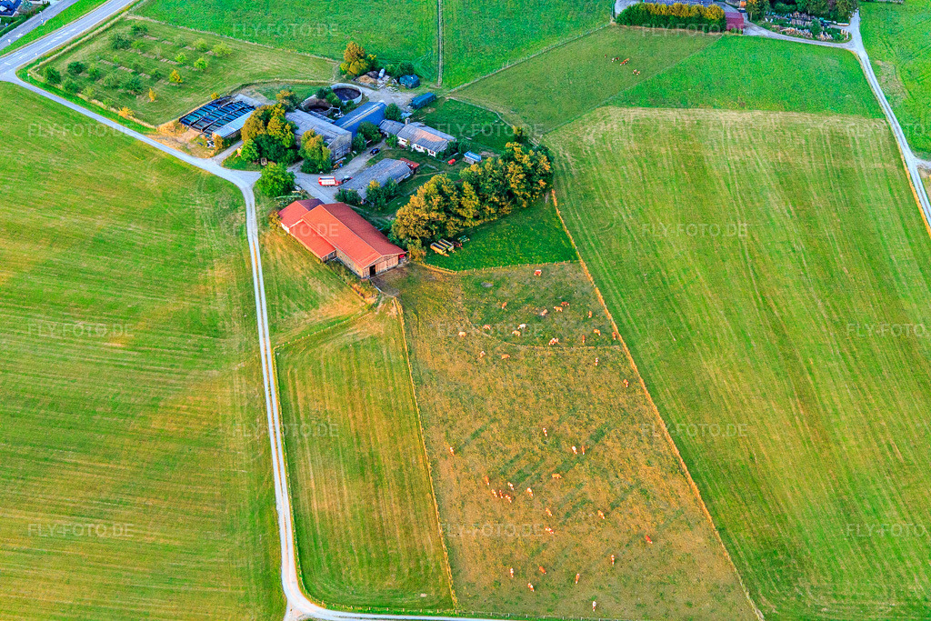 Luftbild: Rinderweide am Schafhof im Ortsteil Lindenhof in Oberndorf im Bundesland Baden-Württemberg in Deutschland. Foto: IMG_149126.jpg vom 28.06.2025 durch Werner Riehm/FLY-FOTO.de