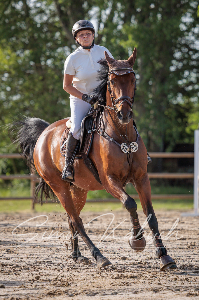 20260529-_3LI0417 | Tierfotografie Pferde, Hunde, Katzen, Haustiere.
Turnierfotografie Reitturniere, Reiten, Springreiten, Dressur in Hanau, dem Main-Kinzig-Kreis und dem Rhein-Main- Gebiet um Frankfurt
