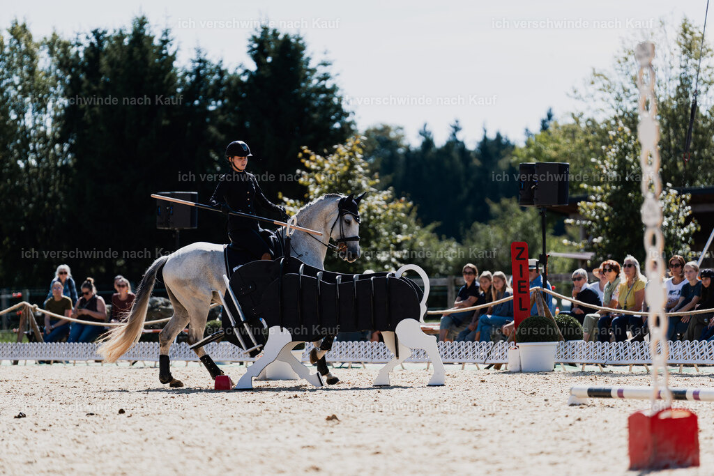 Svea13FHC2025-08727 | working equitationturnier fotograf videograf stoibphotography marixx film working equitation deutschland reitsport turnierfotografie eventfotografie equestrian events