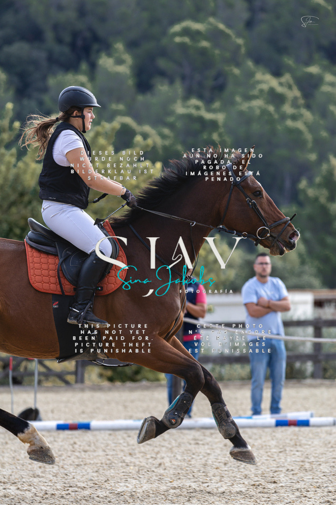 IMG_5385 | s-jay-photography - Realisiert mit Pictrs.com