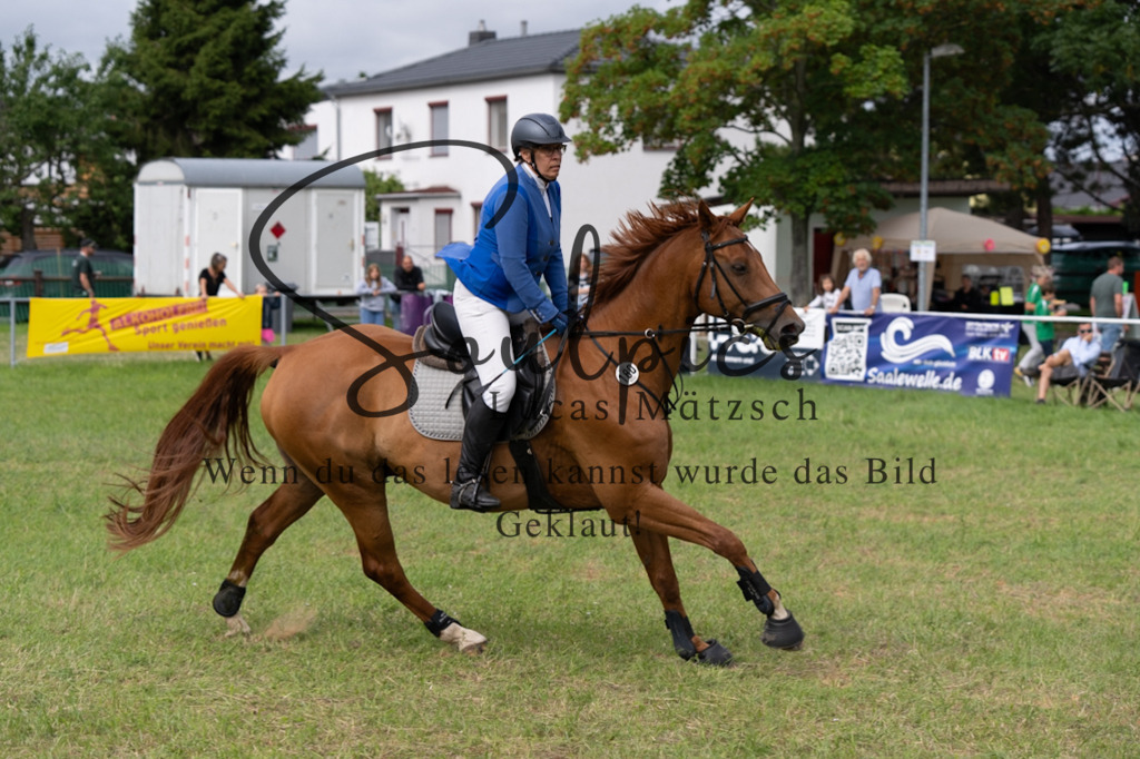 A7V05328 | Turnier/Reitfotograf