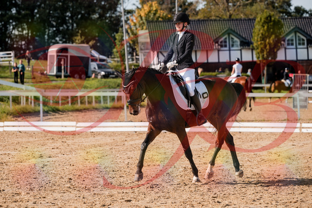 2026_10_03_Siefer-Hof_125543_Z63_62808480 | Professionelle Reitsport-, Turnier- und Eventfotografie von Robert Broda. Galerien mit ausgewählten und bearbeiteten Bildern direkt online ansehen und bestellen.