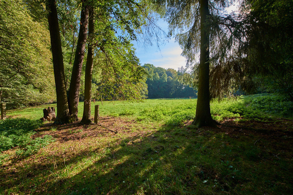 In der Neustädtler Skala 02 | Bedeutsame Landschaften Deutschlands - Realisiert mit Pictrs.com
