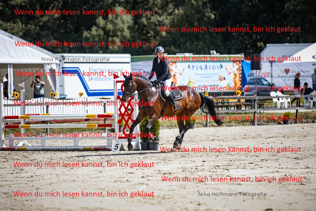 BK1A5134 | Turnierbilder Turnierfotos Nina Hüffmann Turnierfotografie Pferdefotografie Tierzeichnung Haustierzeichnung Pferdezeichnung Hundezeichnung Videograf  - Realisiert mit Pictrs.com