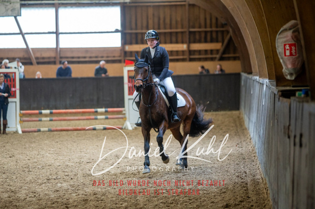 IMG_1739 | Turniersportfotografie; Pferdefotografie; Dressurfotografie