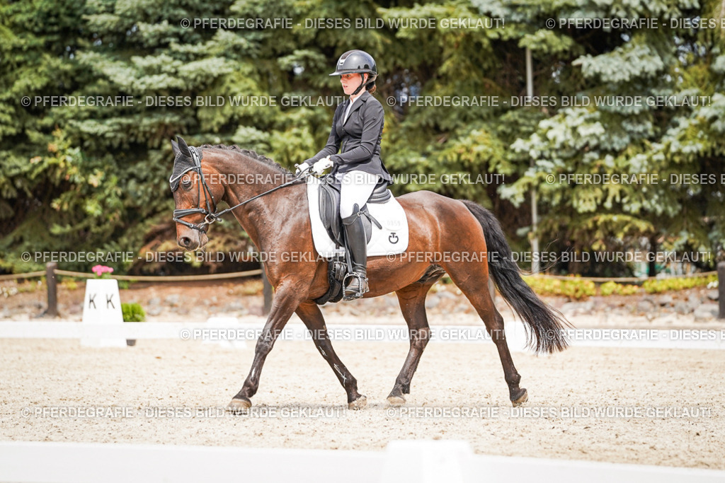 DSC04160 | Pferdegrafie