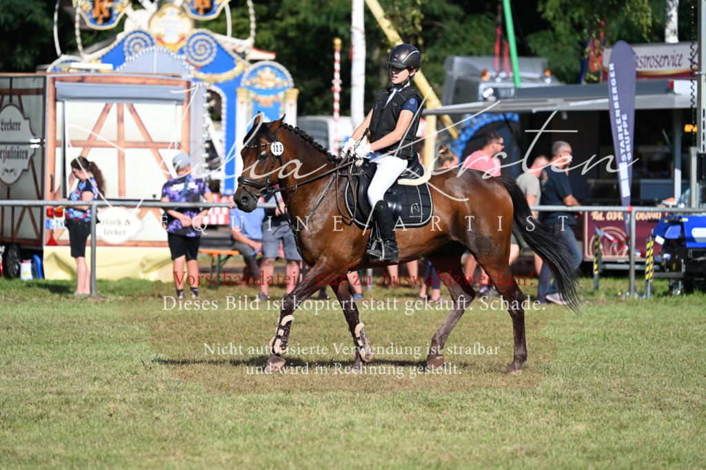 DSC_5213 | Pferde- und Turnierfotografie in Westsachsen. Pferdeportraits, Auftragszeichnungen und intuitive Kunst.