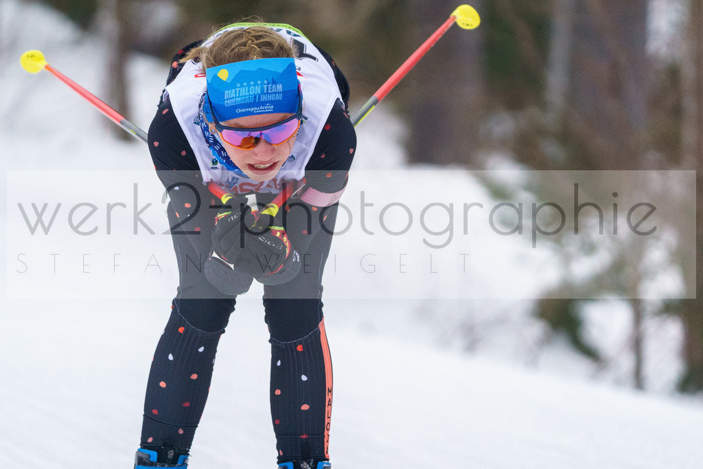 DSC Arber | Bayerischer Wald am 9. bis 12. Februar 2023

