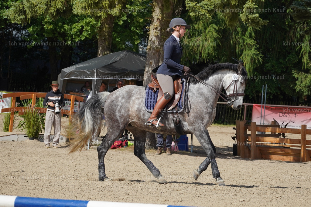 KlasseM_Lucie (12) | working equitationturnier fotograf videograf stoibphotography marixx film working equitation deutschland reitsport turnierfotografie eventfotografie equestrian events
