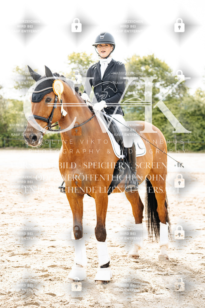 CK703600 | Turnierfotografie Pferdefotografie Trier Rheinland-Pfalz Pferdesport Reitsport Tierfotografie Sportfotografie Pferdevideo Pferdevideografie Equestrianvideography equestrianphotography  - Realisiert mit Pictrs.com