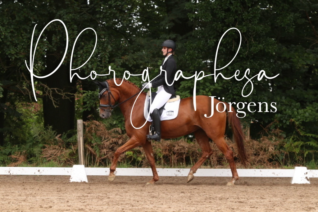 IMG_0025 | photographesa-joergens - Realisiert mit Pictrs.com