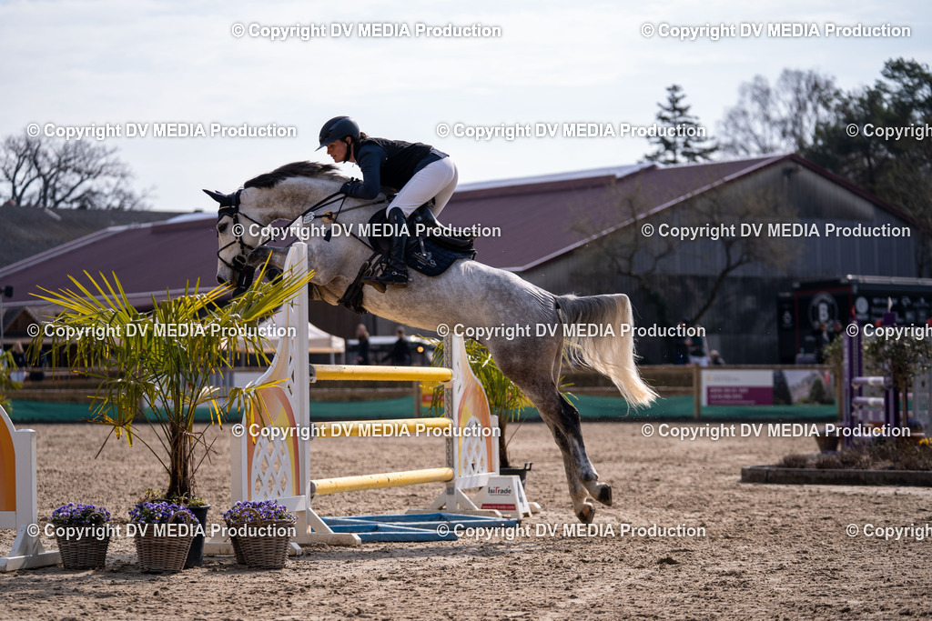 Kranichstein Tag 2-1524 | dv-media-shop - Realisiert mit Pictrs.com