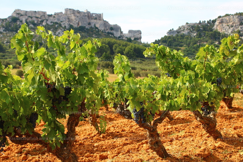 Frankreich - Weinfelder bei Les Baux-de-Provence in der Provence | Les Baux-de-Provence ist eines der schönsten Bergdörfer der Provence und beeindruckt mit seiner mittelalterlichen Festung, historischen Gassen und spektakulären Ausblicken über die umliegenden Weinberge und Olivenhaine. Die Region ist für ihre hervorragenden Weine und ihre mediterrane Kulturlandschaft bekannt und verbindet Geschichte, Genuss und die einzigartige Atmosphäre der Provence. - Realisiert mit Pictrs.com