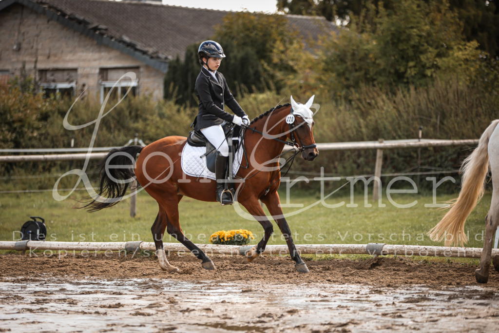 02.SoDrWB00035 | Leoni Ertmer Photography - Realisiert mit Pictrs.com